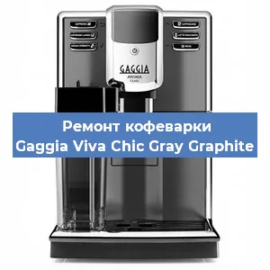 Ремонт кофемашины Gaggia Viva Chic Gray Graphite в Челябинске